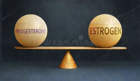 Estrogen And Progesterone In Balance A Metaphor Showing The Importance Of Two Aspects Of Life
