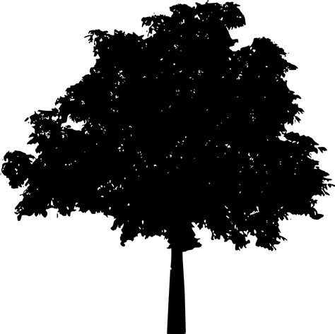 Trees Silhouette Vector Png