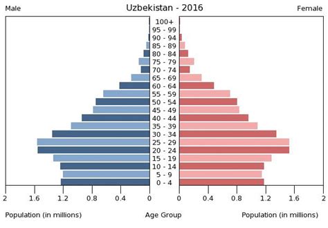Uzbekistan Age Structure Demographics