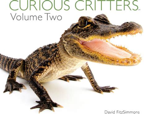 Curious Critters Volume Two Book Review