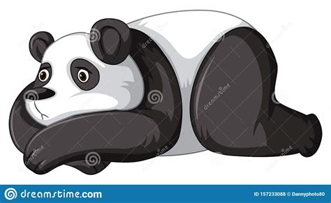 Sad Panda On White Background Stock Vector Illustration Of Species