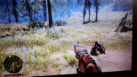 Far Cry Primal Sex Auf Offener Wiese Ps4 Youtube