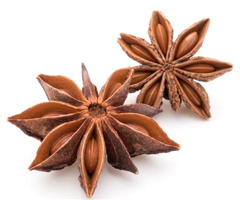 No flower smells quite as good as the jasmine, and growing one in your home is like a scent diffuser. Best Indoor House Plants That Smell Good Feng Shui Tips