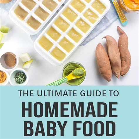 Ultimate Guide On How To Make Homemade Baby Food Laptrinhx News