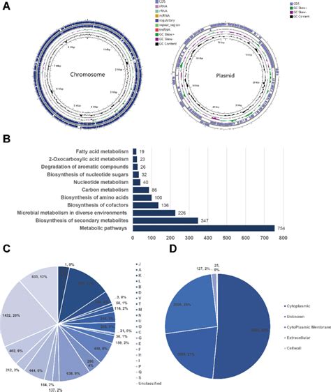 Genomic Information Of Nocardia Terpenica Ncyfynt001 A Circular