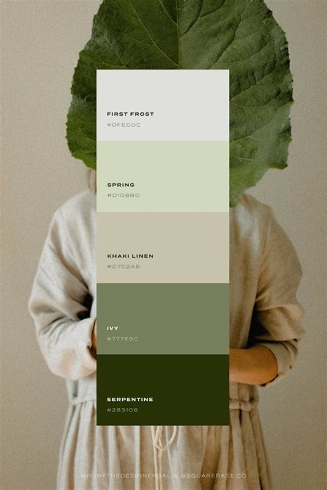 Rooted Organic And Serene Colour Palette Inspired By Nature Color