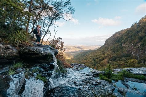 Guide To The Waterfalls Of Gondwana Rainforest Queensland