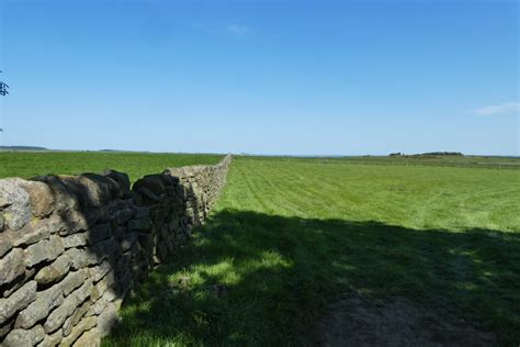 Dry Stone Wall Beside Newall Carr Lane © Ds Pugh Geograph Britain