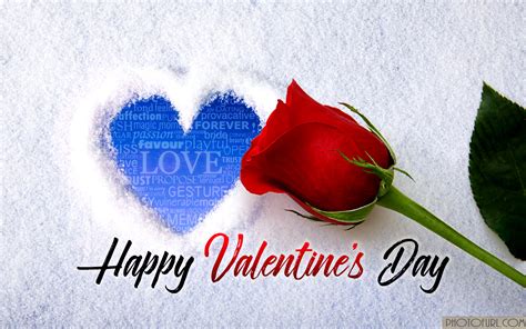 Free Download Happy Valentines Day Hd Wallpaper Happy Valentines Day