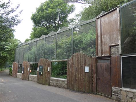 Scottish Wildcat Enclosure Zoochat