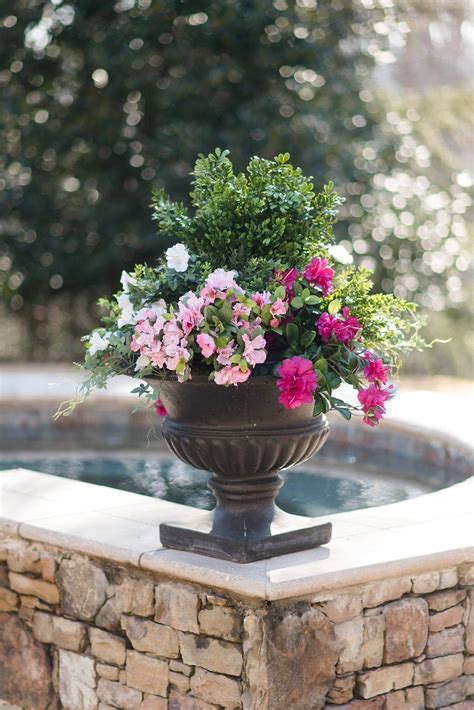 We did not find results for: I put fake flowers outside. But can you tell? I dare you ...