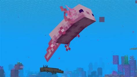 Minecraft Axolotls How To Tame And Breed In Cave And Cliffs Update