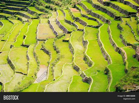 Rice Terraces Image & Photo (Free Trial) | Bigstock