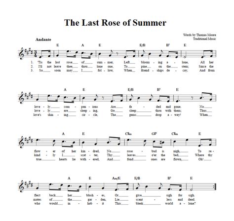 The Last Rose Of Summer B Flat Instrument Sheet Music Lead Sheet With