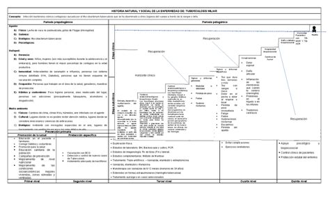 Historia Natural De La Enfermedad Tuberculosis Completa Historia
