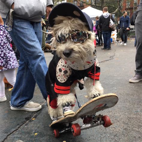 Pooches Show Off Their Boo Tiful Costumes At The Tompkins Square