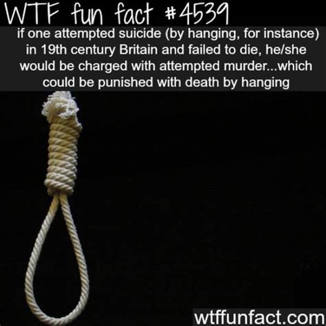 Weird Facts That Are Almost Too Crazy To Be True 25 Pics