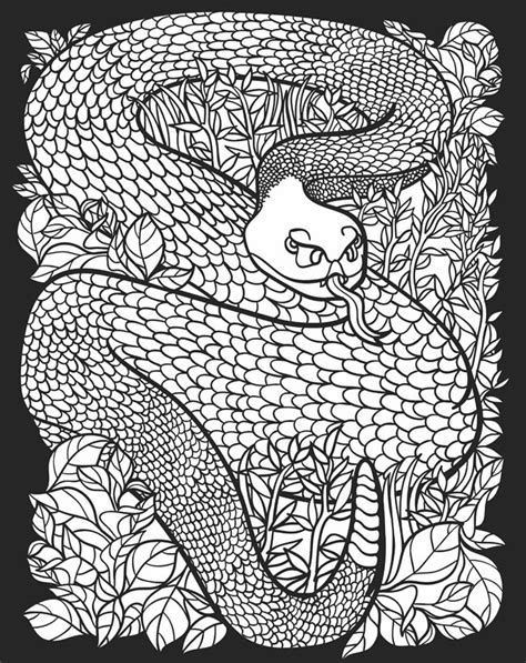 Childhood Education Nocturnal Animals Coloring Pages Free Colouring