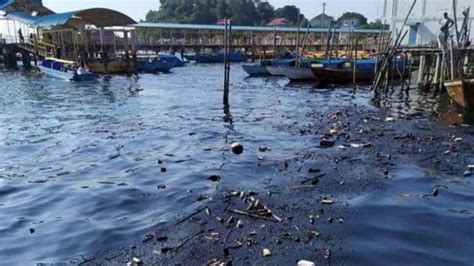 Breakingnews Tumpahan Minyak Tutupi Laut Pelabuhan Pancung Belakang