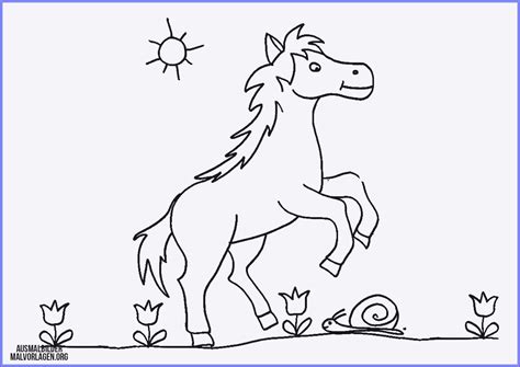 Pferd und fohlen zeichnung 1 ausmalbilder kostenlos zum>. Leuchtturm Bilder Zum Ausdrucken. leuchtturm zum ausmalen ...