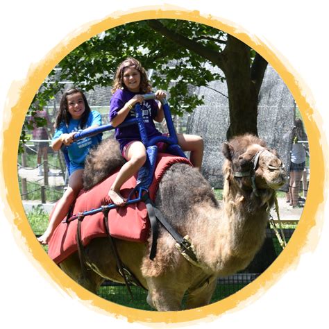 If you ever win big in las vegas and feel tempted to ride a camel on a freeway, think again. Camel Rides | African Safari Wildlife Park - Port Clinton, OH