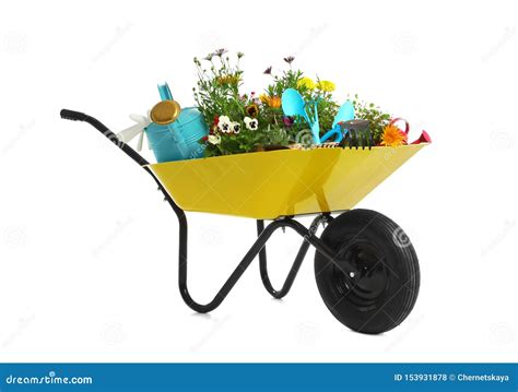 Wheelbarrow With Flowers And Gardening Tools On White Stock Photo