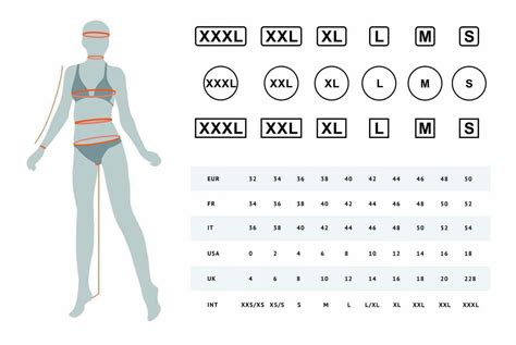 Female Body Types Chart Complete Guide On Women Body Types Salameh