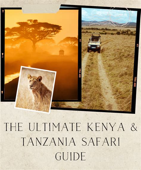 The Ultimate Kenya And Tanzania Safari Guide Camera And Valise