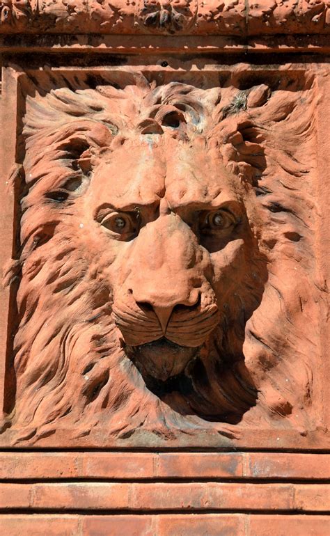 Lion Sculpture Free Stock Photo Public Domain Pictures