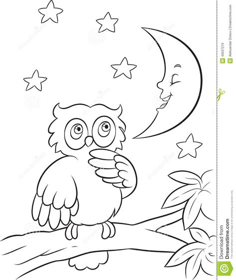 Polish your personal project or design with these nocturnal animals transparent png images, make it even more personalized and more attractive. Owl Coloring Page Stock Vector - Image: 40037219