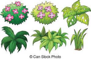 The main difference between flowering and nonflowering plants is their method of reproduction. Illustration of six non-flowering plants on a white ...