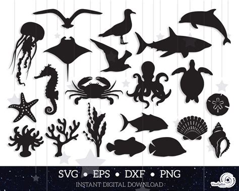 Sea Life Svg Free 90 Svg Png Eps Dxf File