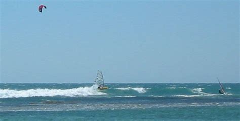 Windsurfing Decrepitavalon