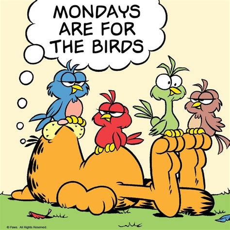 Mondays Are For The Birdsvultures Morning Quotes Funny Garfield