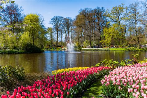 269,499 likes · 32,191 talking about this. Het Keukenhof park met tulpen - Fotobehang.nl