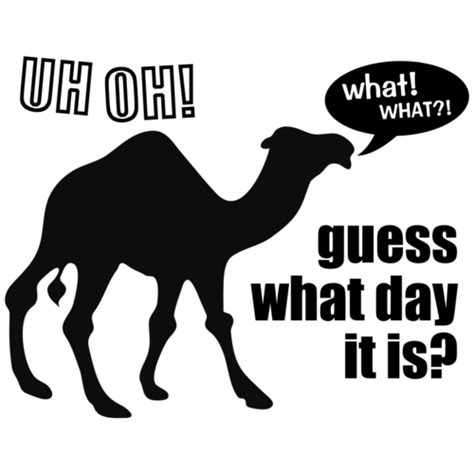 You can find me in stardom here see more of hump day camel on facebook. Guess What Day It Is Hump Day Camel Shirt
