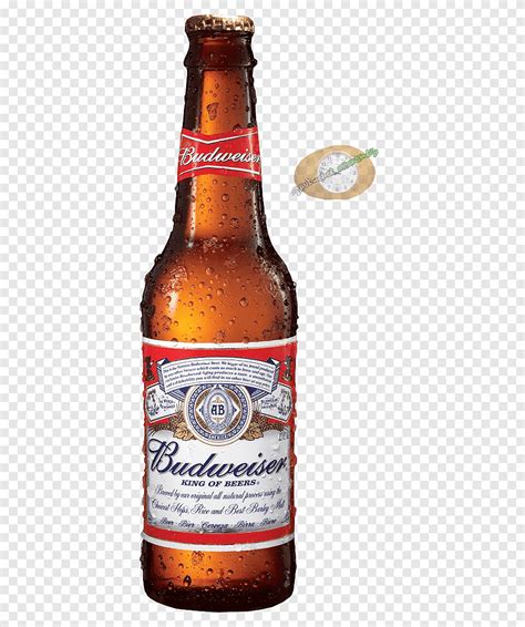 Budweiser Beer Anheuser Busch Lager Boisson distillée bière Bouteille