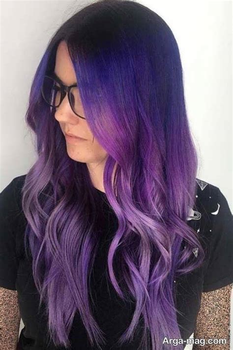 Purple Hair Color Sallys