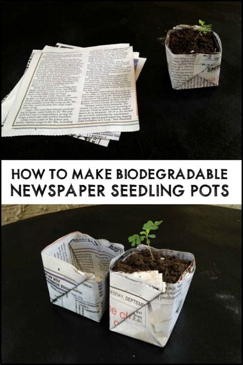 Yesterday S News Is Today S Biodegradable Seedling Pots Southern