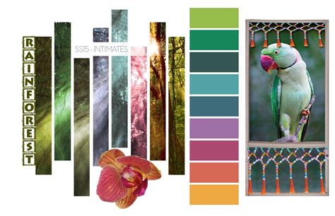 Rainforest Intimates Color Trends Spring Summer 2015 Color Trend