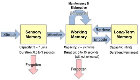 Dataworks The Information Processing Model Ipm