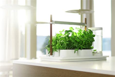 Auk The First Fully Automated Indoor Garden Single Winner