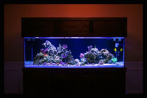 75 gallon reef tanks let s seem them reef central online. Aquascaping Pictures, Ideas, and Sketches | Page 2 ...