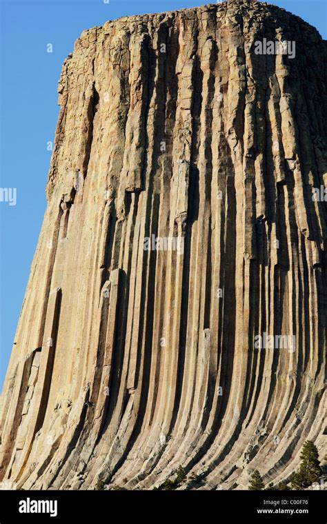 Usa Wyoming Devils Tower National Monument Devils Tower Is A 1267