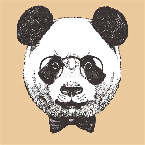 Porträt Des Pandas Mit Gläsern Und Fliege Von Hand Gezeichnete