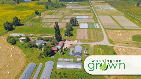 Small Farms Washington Grown S7e8 Youtube