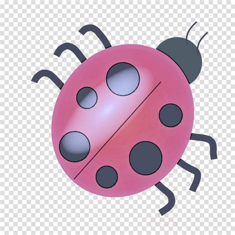 Ladybug Clipart Pink Insect Ladybug Transparent Clip Art