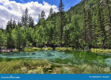 Amazing Blue Geyser Lake In The Mountains Of Altai Russia Stock Image