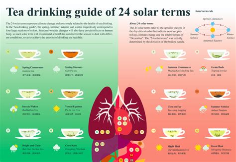 Tea Drinking Guide Of 24 Solar Terms — Information Is Beautiful Awards
