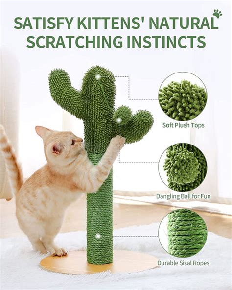 Cat Scratching Post Cactus Cat Scratcher With Natural Sisal